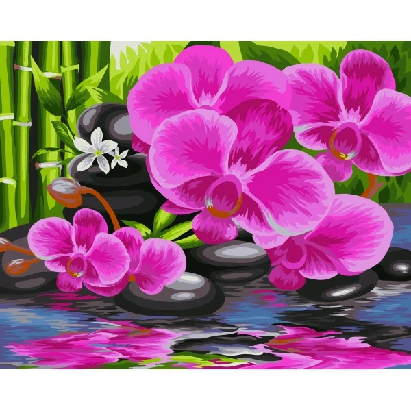 Meilleur prix ⭐ Peinture Numéro Kit Peinture Par Numéros Wizardi Jardin Oriental 40x50 Cm B081 ❤️ 1 Meilleur prix ⭐ Peinture Numéro Kit Peinture Par Numéros Wizardi Jardin Oriental 40x50 Cm B081 ❤️