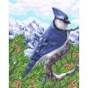 Sortie 🛒 Peinture Numéro Kit Peinture Par Numéros Wizardi Blue Jay 40x50 Cm H106 🔥